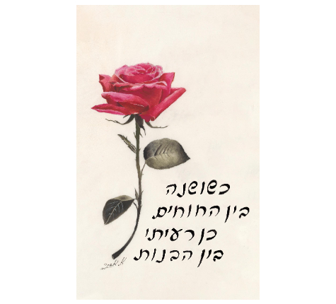 אסתר אברמוביץ